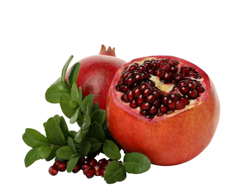 نهال انار