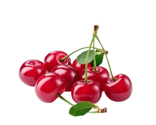 نهال گیلاس