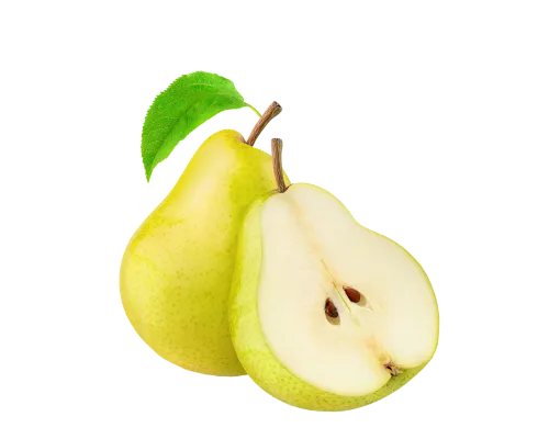 نهال گلابی