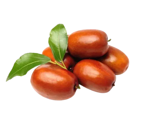 نهال عناب