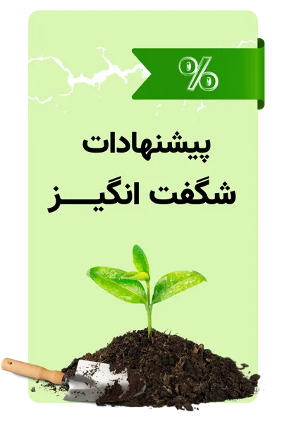 پیشنهادات ویژه
