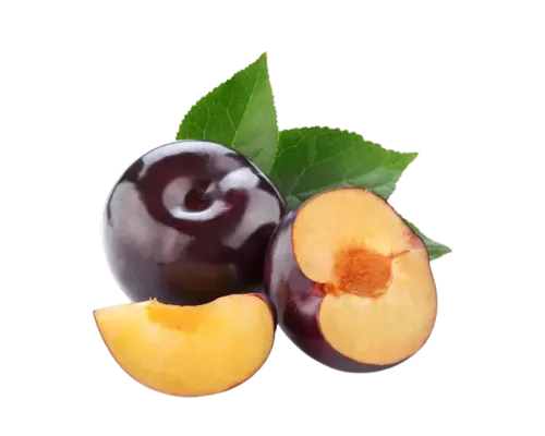 نهال الو