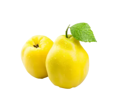نهال به